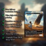 Witch Enchanter/Blessed Plain